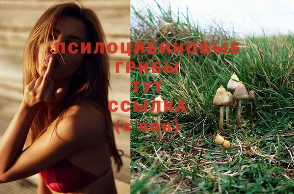 МДПВ Осинники
