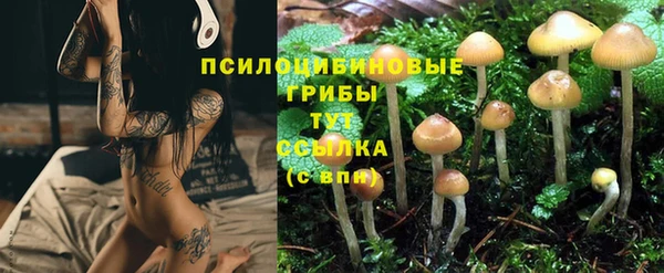 a pvp Остров