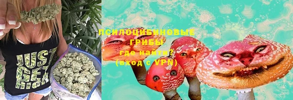 меф Коряжма