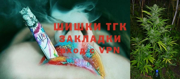 МДПВ Осинники
