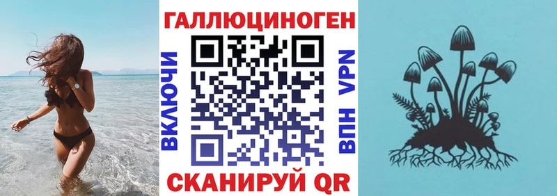 купить закладку  Ахтубинск  Псилоцибиновые грибы мухоморы 