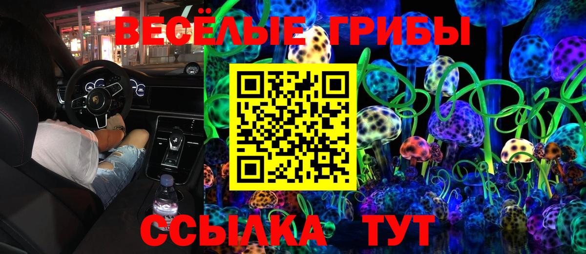 Псилоцибиновые грибы Psilocybe  Вход с VPN  Псилоцибиновые грибы ЛСД  Ахтубинск 