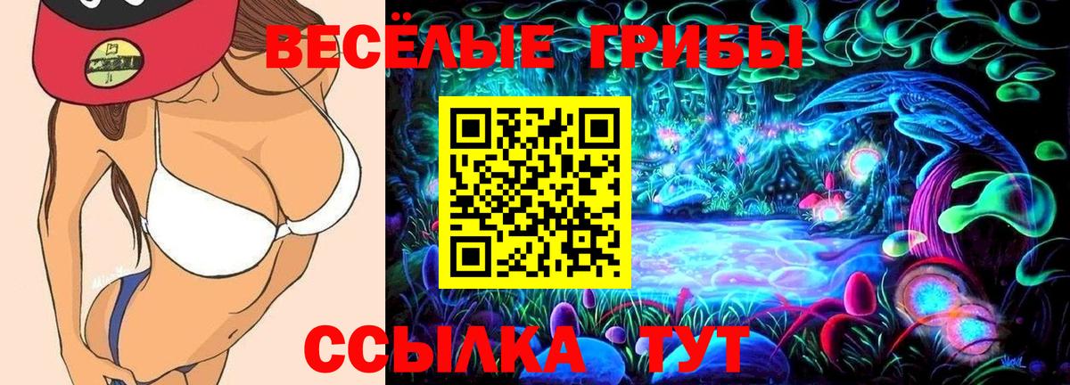 Псилоцибиновые грибы мицелий Ахтубинск